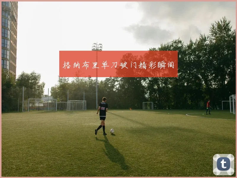 格纳布里单刀破门精彩瞬间