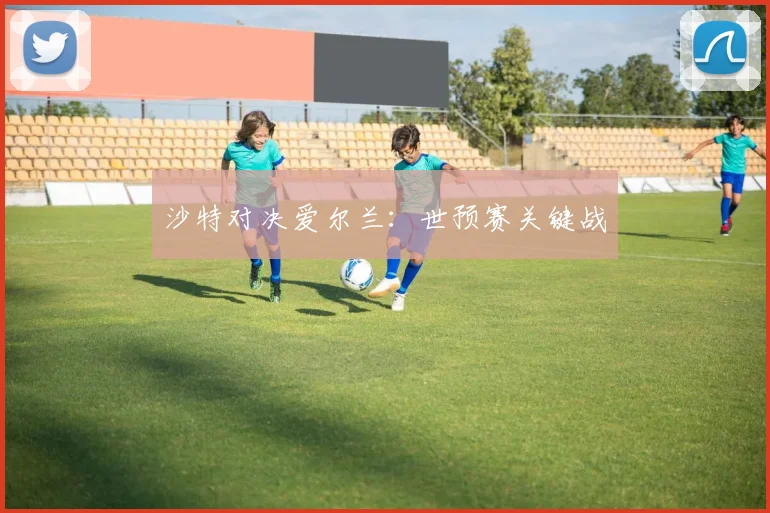 沙特对决爱尔兰：世预赛关键战
