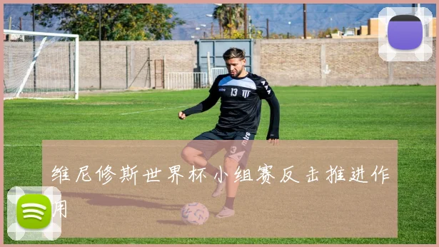 维尼修斯世界杯小组赛反击推进作用