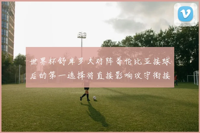世界杯舒库罗夫对阵哥伦比亚接球后的第一选择将直接影响攻守衔接