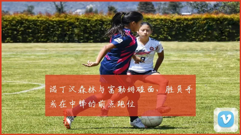 诺丁汉森林与富勒姆碰面，胜负手或在中锋的前点跑位