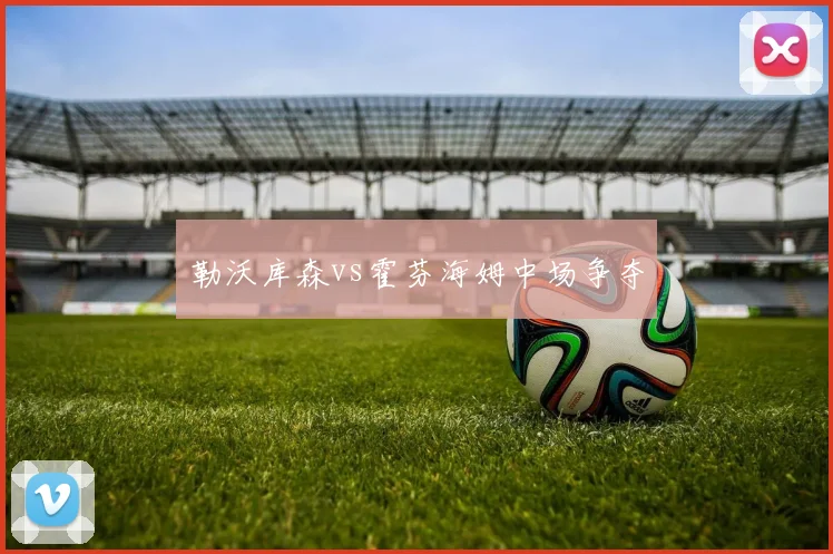 勒沃库森vs霍芬海姆中场争夺